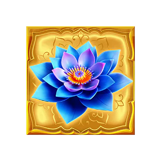 SYMBOL 13
