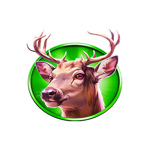 SYMBOL 05